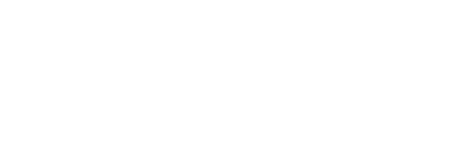 Zippet – The Roadrunner